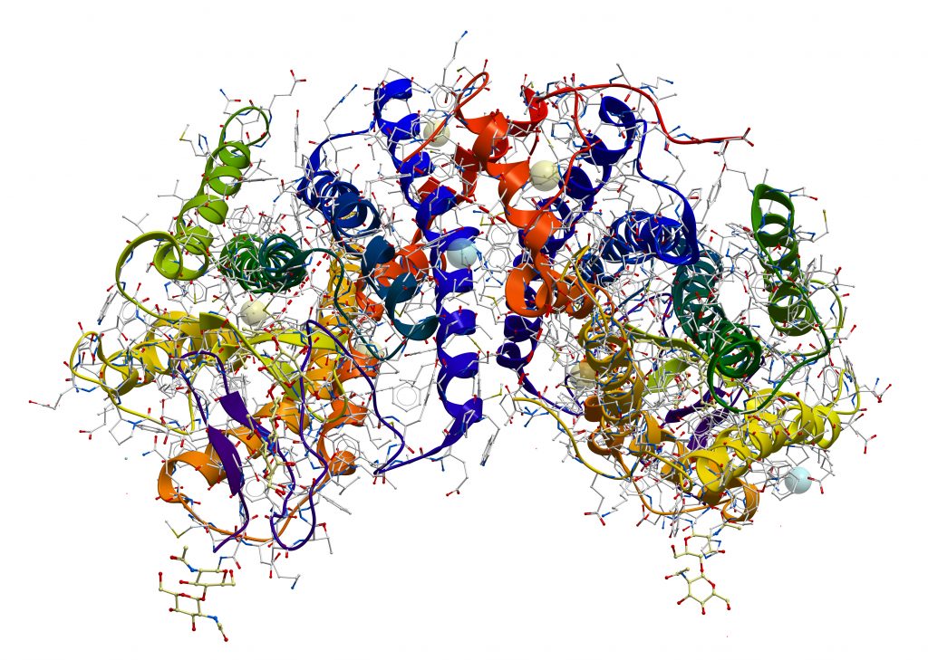 Rhodopsin (the extremely sensitive to light pigment involved in vision process) protein structure