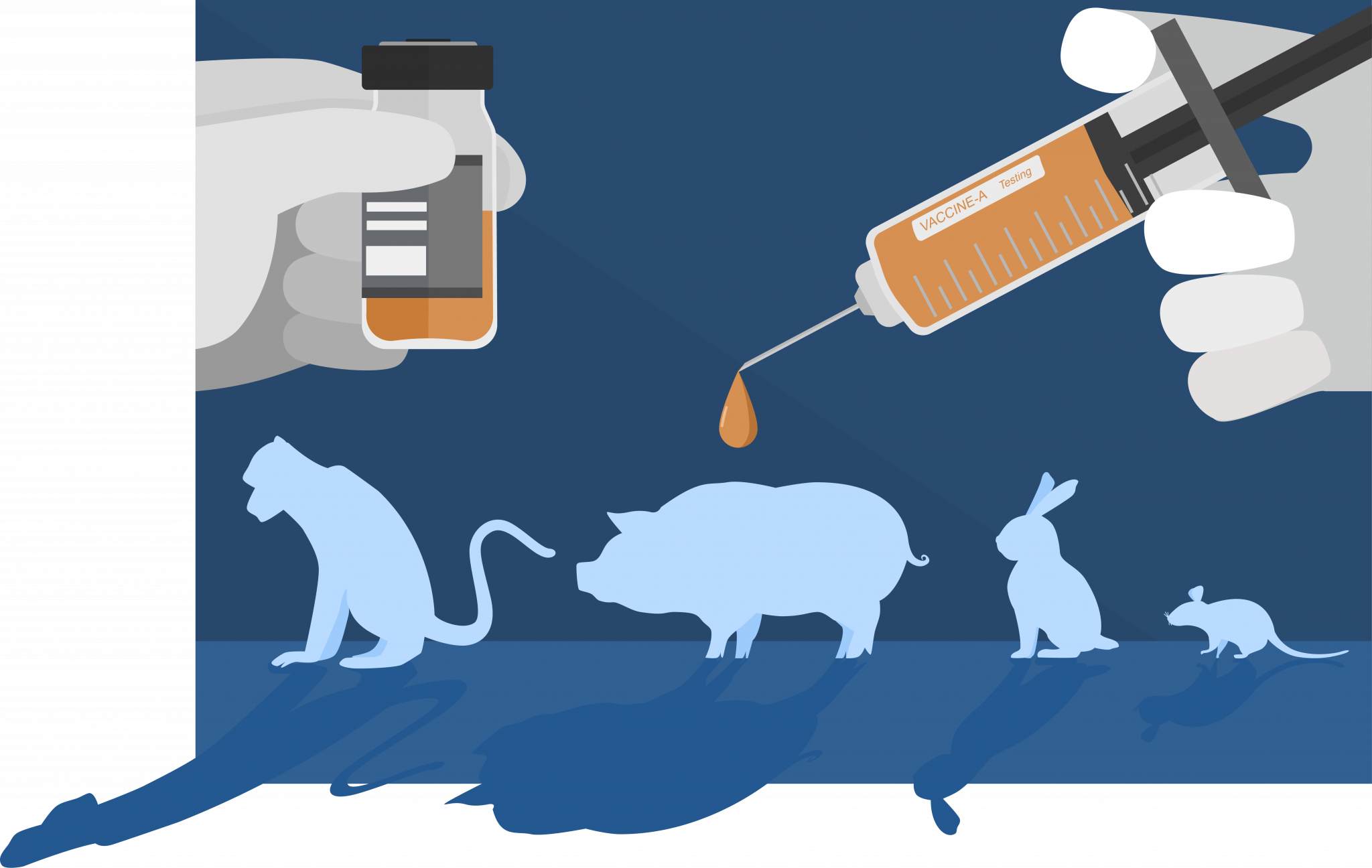 Preclinical Studies – IA4 Biotech